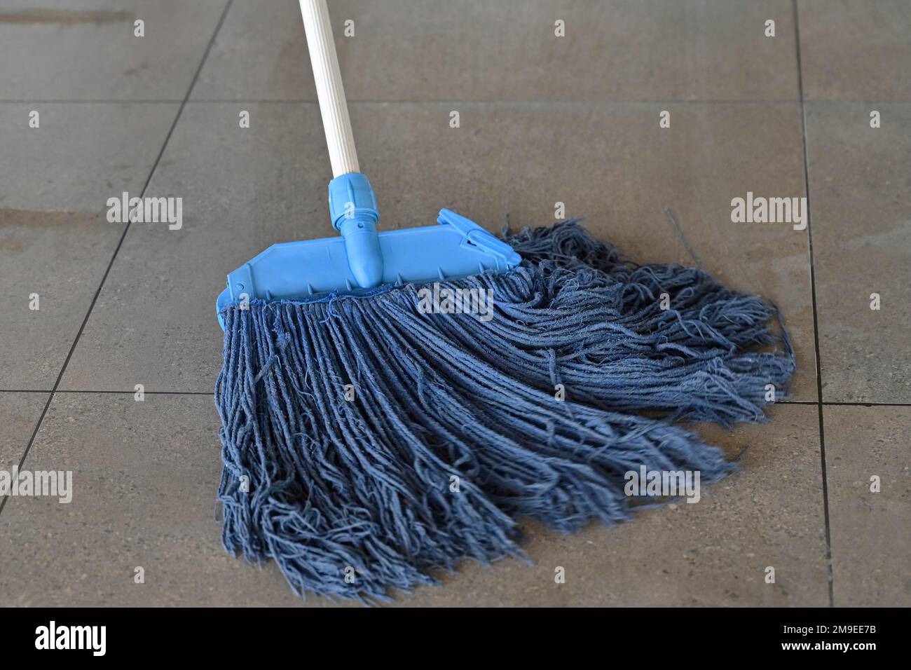 Floor Cleaner Wiper