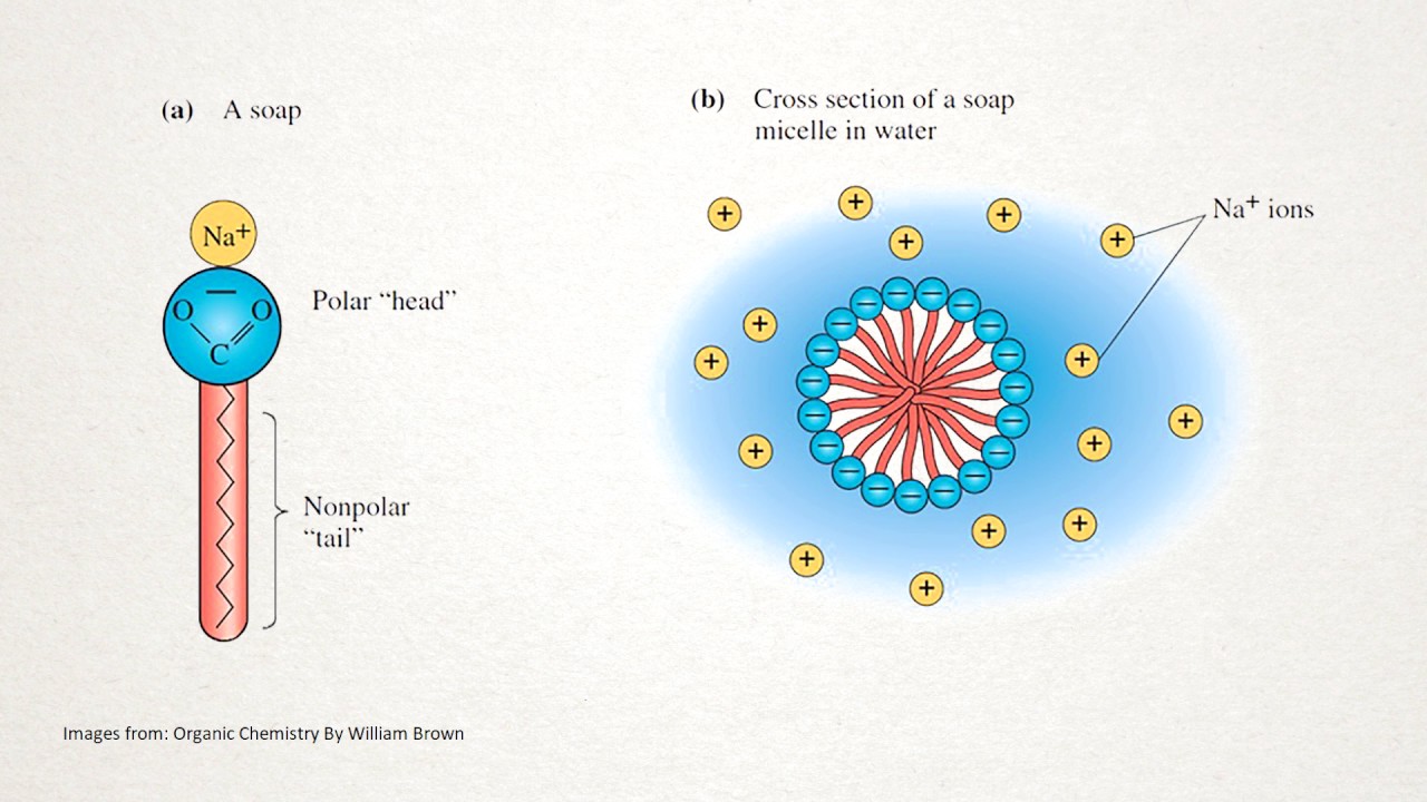 How Does Organic Soap Work