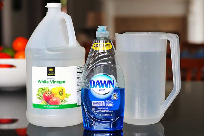 Window Cleaning Solution